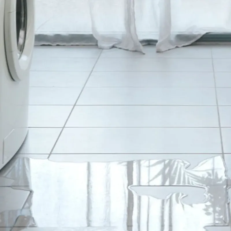 Appliance Leak Cleanup in Norris, TN
