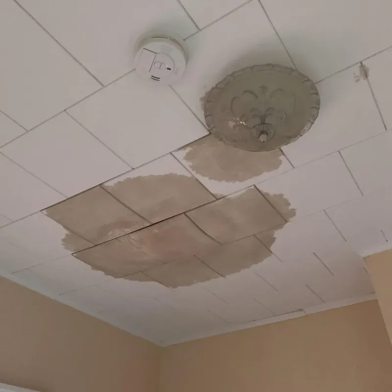 Ceiling Water Damage Repair in Norris, TN