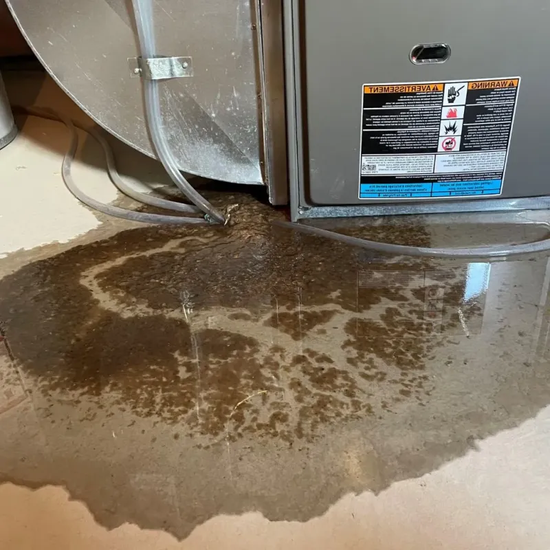 Pipe Burst and Leak Restoration in Norris, TN