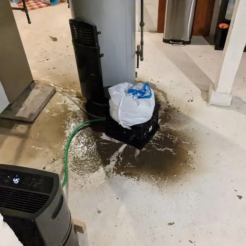Sewage Backup Cleanup Service in Norris, TN